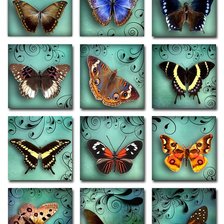 Схема вышивки «Collage»