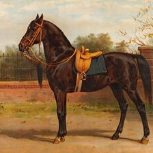 В ожидании всадницы