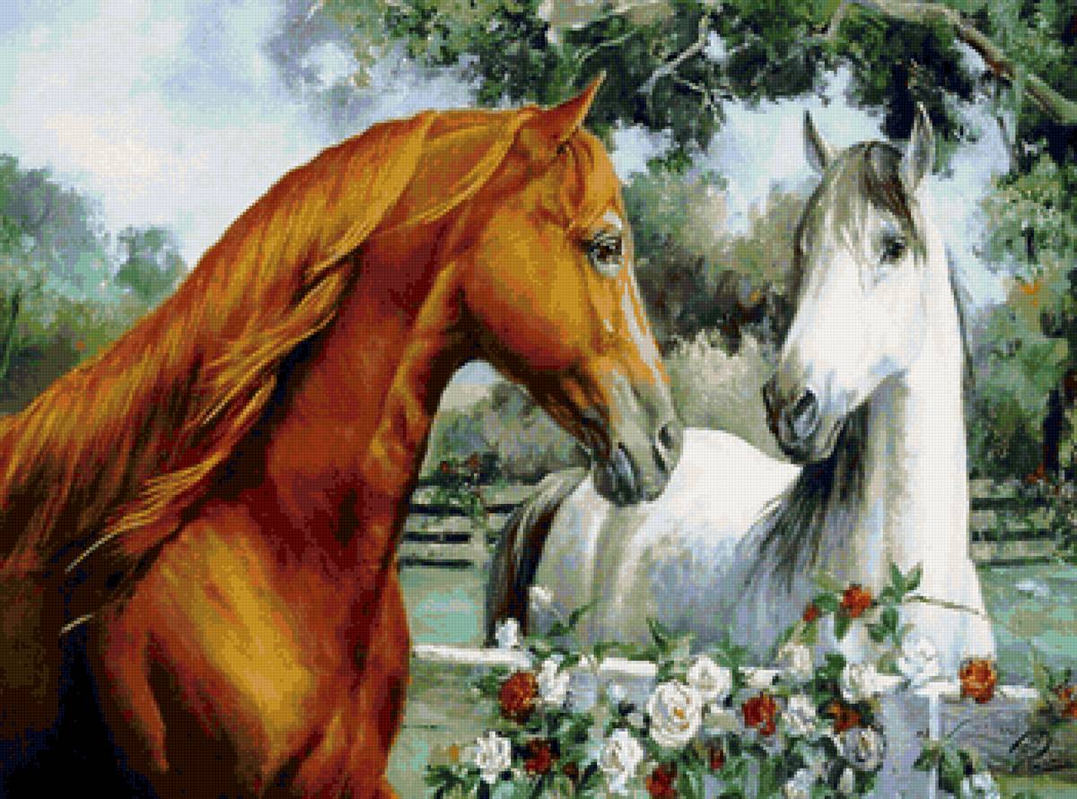 Встреча - розы, лошади - предпросмотр