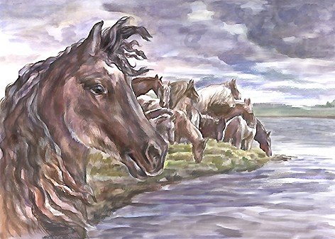 кони - мир животных. - оригинал