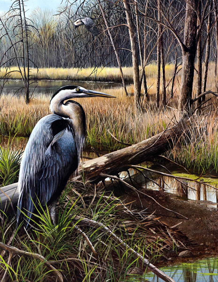 №2164713 - оригинал