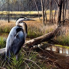 Схема вышивки «№2164713»