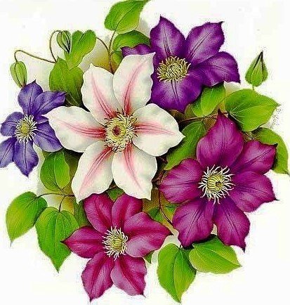 Клематисы - цветы, букет - оригинал