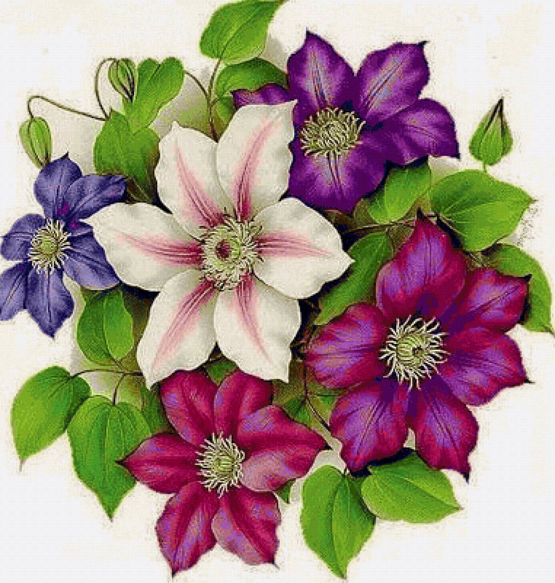 Клематисы - букет, цветы - предпросмотр