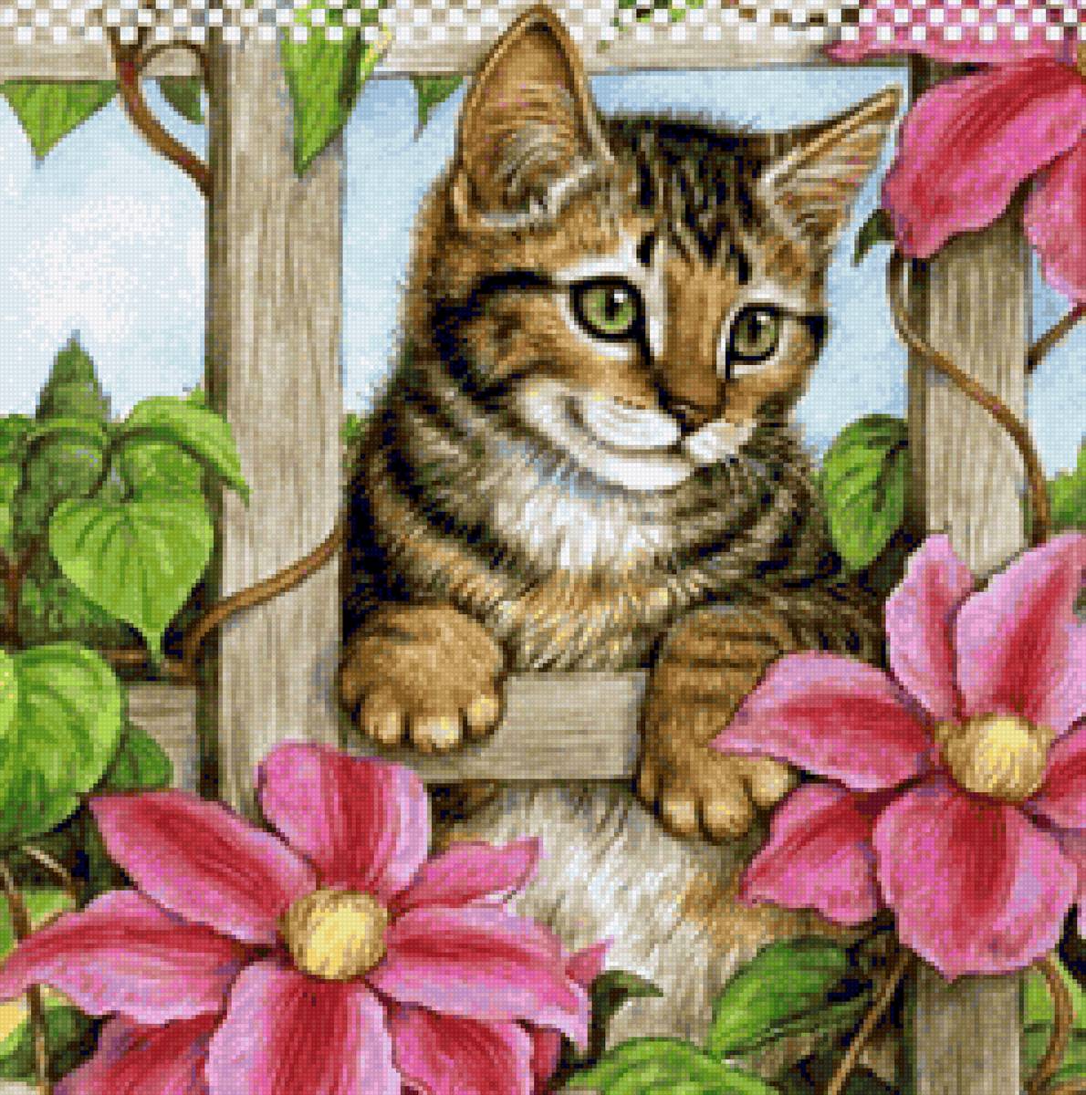 Кот на заборе 4 - животные, кот - предпросмотр