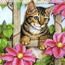 Кот на заборе 4