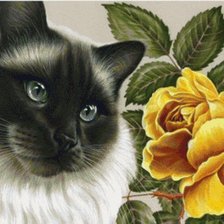 Схема вышивки «Кошечка и розочка»