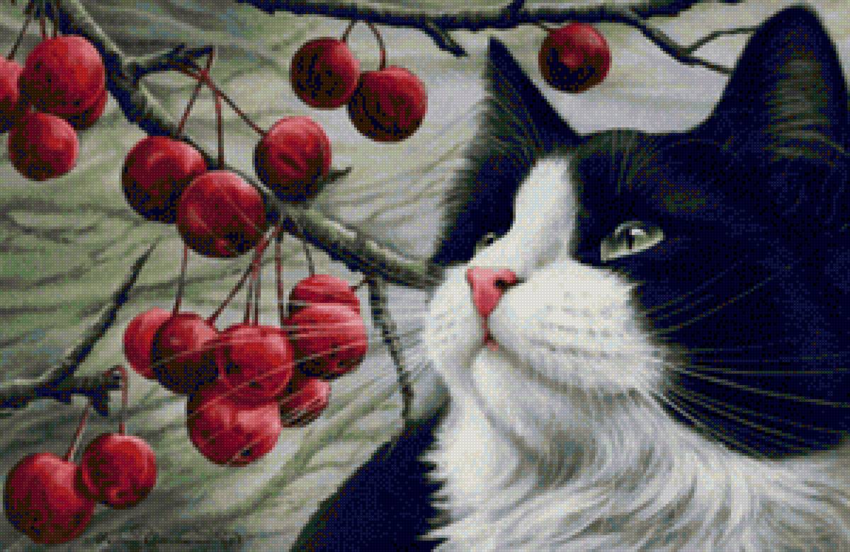 Вишневая мечта - кот, животные - предпросмотр