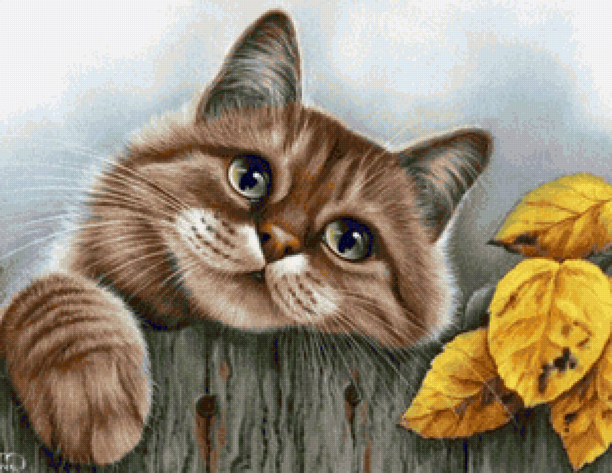 Кот на заборе 5 - животные, кот - предпросмотр