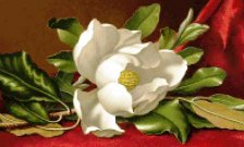 Схема вышивки «Магнолия»