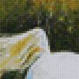 Предпросмотр схемы вышивки «По одуванчиковому полю» (№2164865)