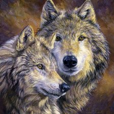 Схема вышивки «дикие»