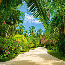 Схема вышивки «Райский уголок»