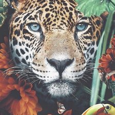 Схема вышивки «№2165471»