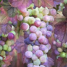 Схема вышивки «№2165503»