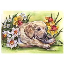 Схема вышивки «щенок»