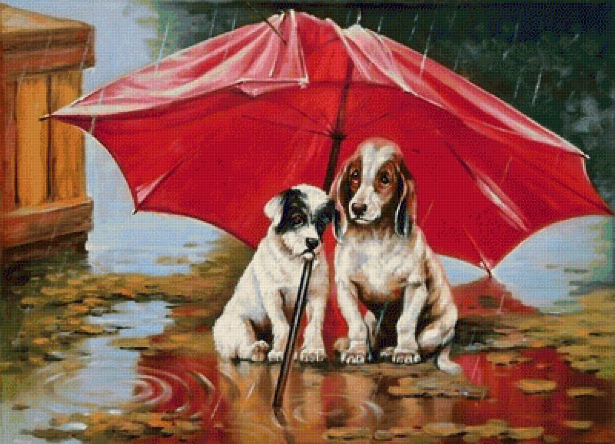 Perros bajo el paraguas 4 - animales - предпросмотр