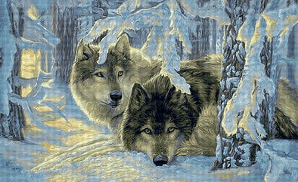 дикие - предпросмотр