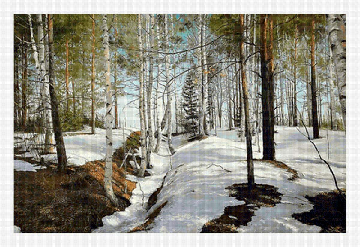 Ранняя весна в лесу. - лес, природа, березы, весна, снег, пейзаж - предпросмотр