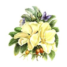 Схема вышивки «акварель»