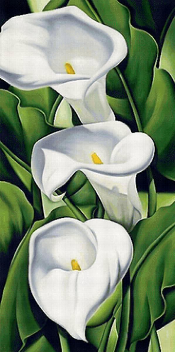 калы - калы, цветы - предпросмотр