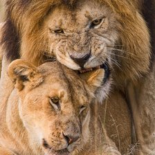 Схема вышивки «№2166027»