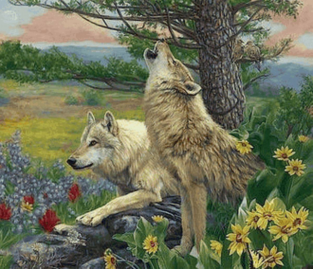 дикие - предпросмотр