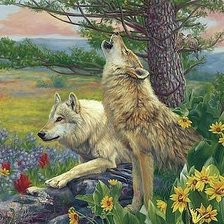 Схема вышивки «дикие»