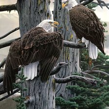 Схема вышивки «птицы»