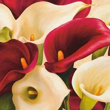 Схема вышивки «каллы»