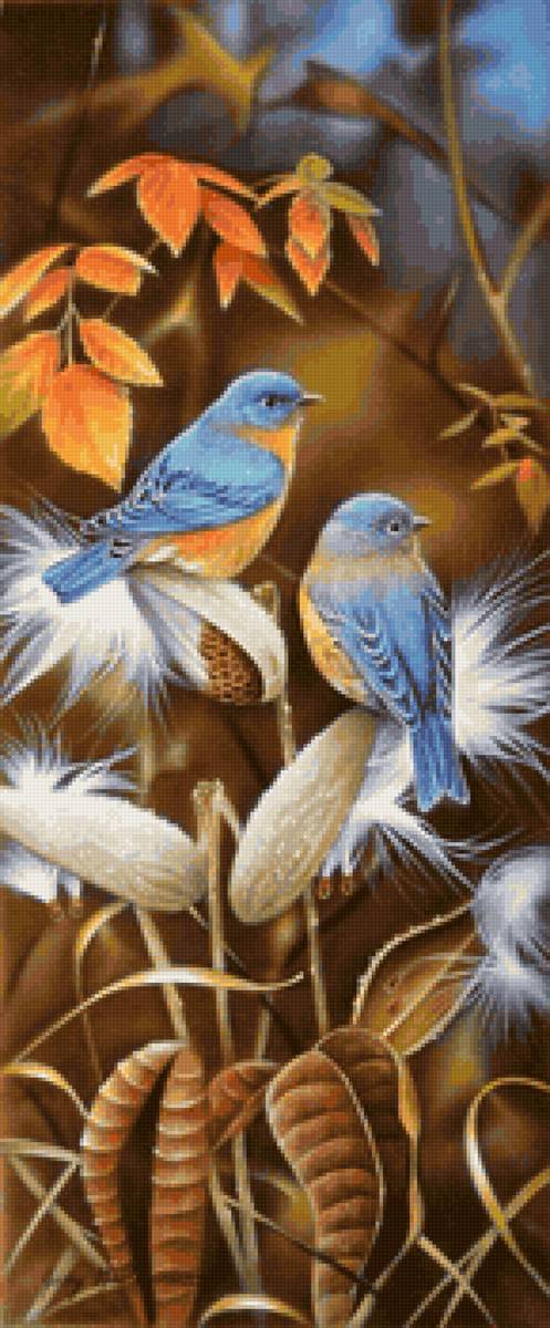 птицы - предпросмотр