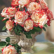 Схема вышивки «№2166237»