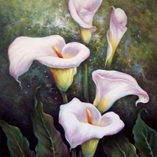 Схема вышивки «ALCATRACES»