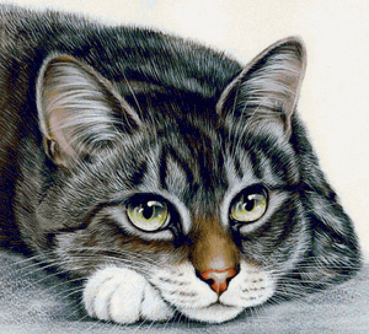 Пушистое счастье. Художник Ирина Гармашова - кот, животные - предпросмотр