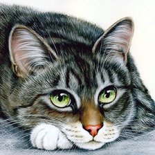 Пушистое счастье. Художник Ирина Гармашова