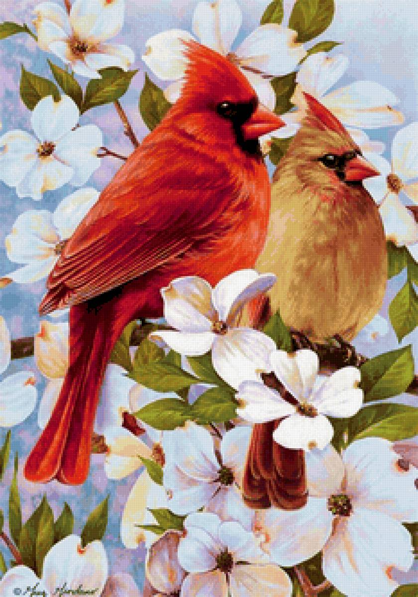 ЩЕГЛЫ, Ч.5 - птицы - предпросмотр