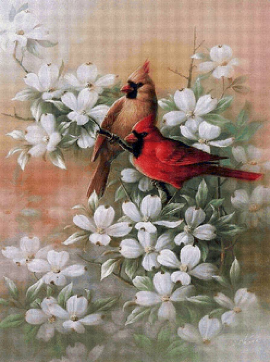 ЩЕГЛЫ, Ч.13 - птицы - предпросмотр