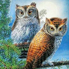 Схема вышивки «совушки»