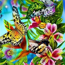 Схема вышивки «Бабочки-2»