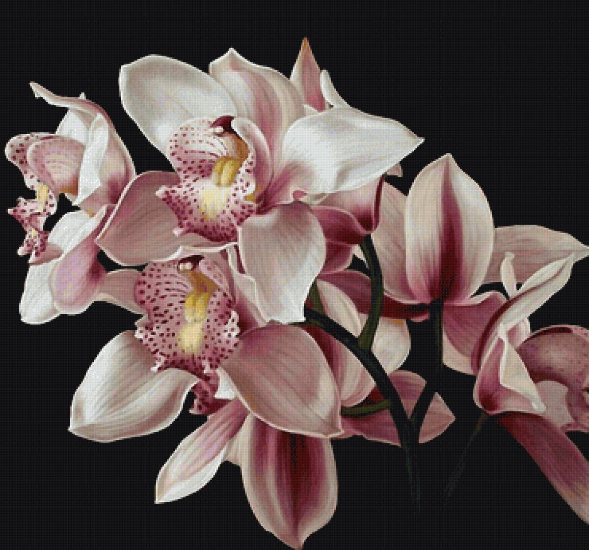 №2166982 - предпросмотр