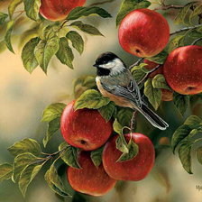 Схема вышивки «№2166984»