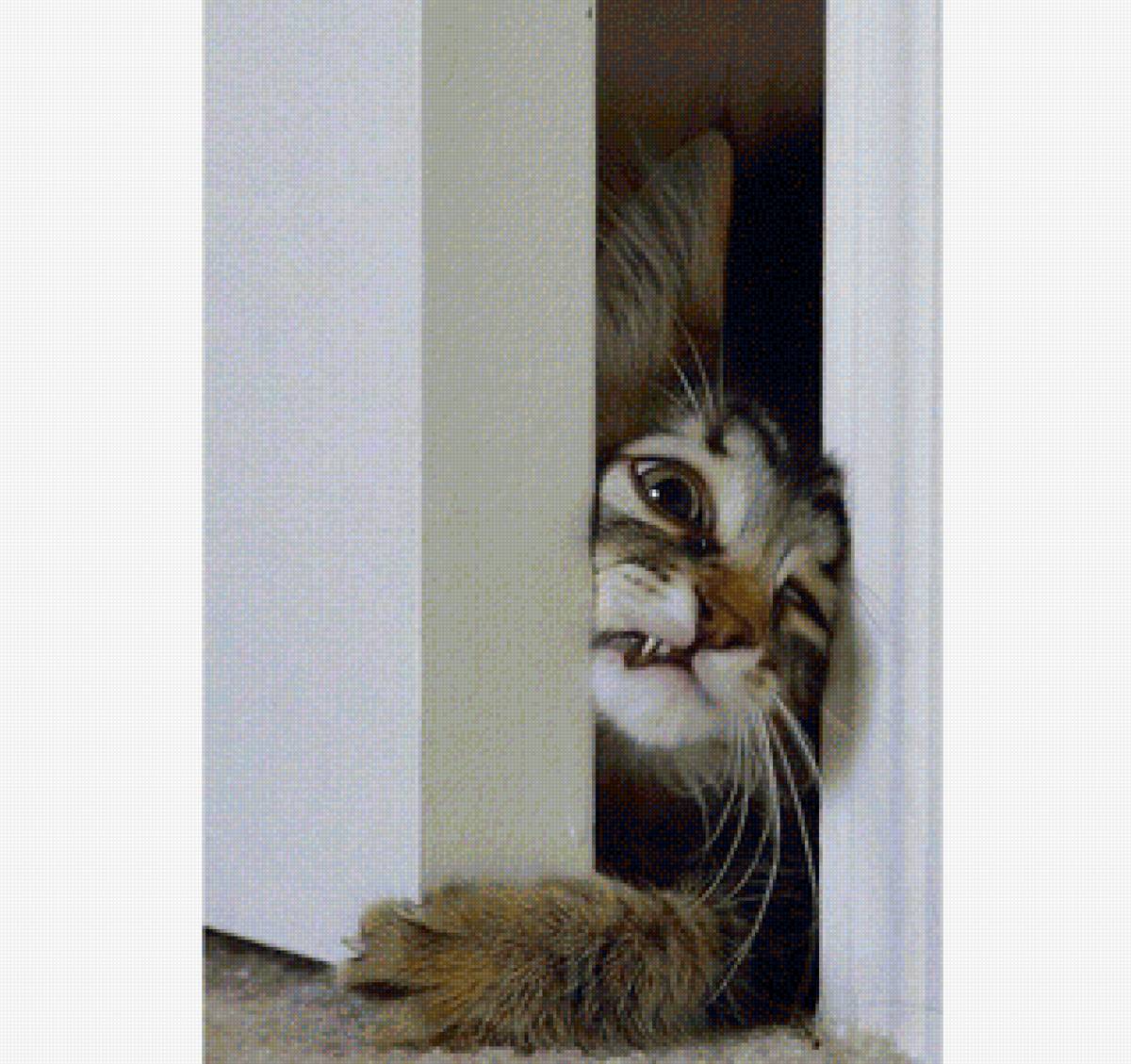 Счастье упорно лезло в дом - дверь, кошка, счастье - предпросмотр