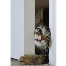 Схема вышивки «Счастье упорно лезло в дом»