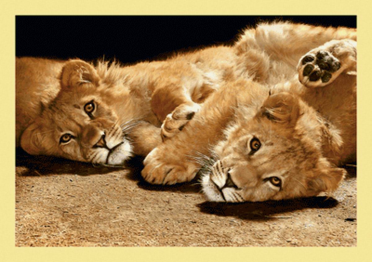 Серия "Хищники". - хищники, животные - предпросмотр