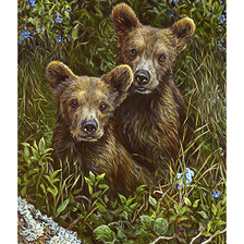 Схема вышивки «Серия "Медведи"»