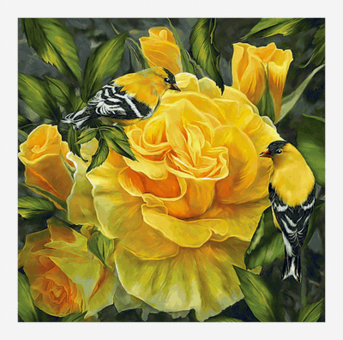 Жёлтые розы и птички. - цветы, птицы, бутоны, розы, живопись - предпросмотр