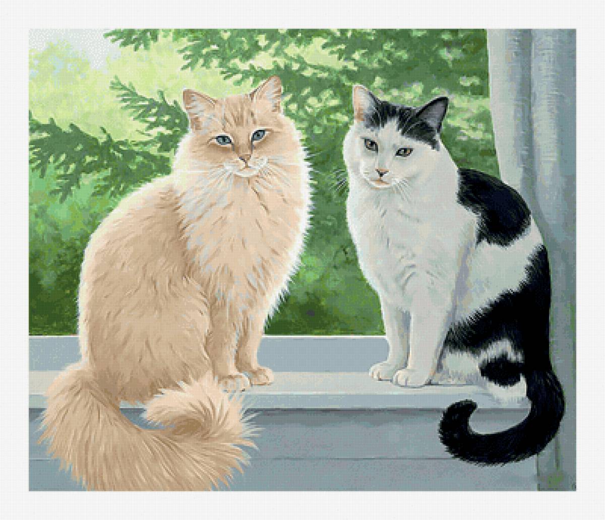 Котики на окне. - коты, живопись, кошки, животные, окно - предпросмотр