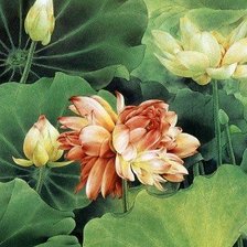 Схема вышивки «Лотос»