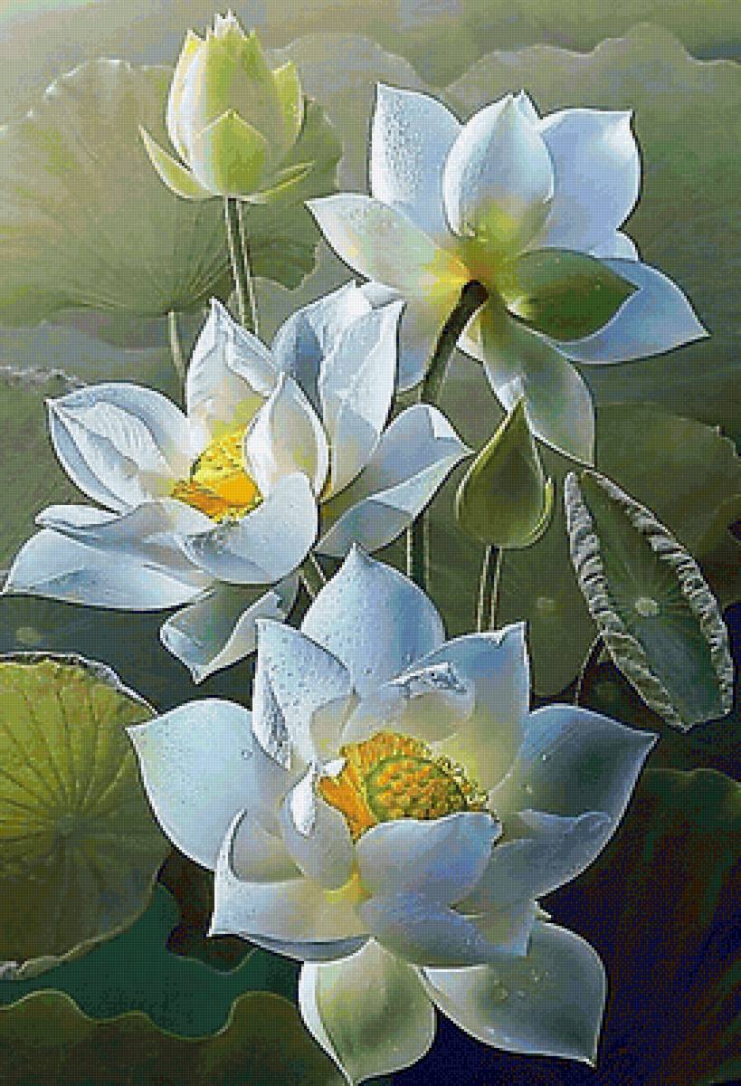 Лотосы - цветы, букет - предпросмотр