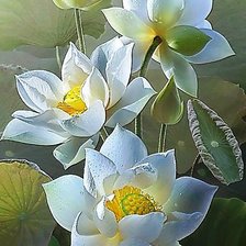 Схема вышивки «Лотосы»